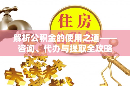 卢龙解析公积金的使用之道——咨询、代办与提取全攻略
