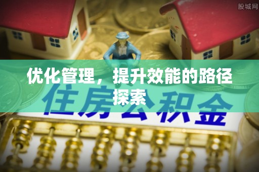 卢龙优化管理，提升效能的路径探索