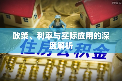 卢龙政策、利率与实际应用的深度解析