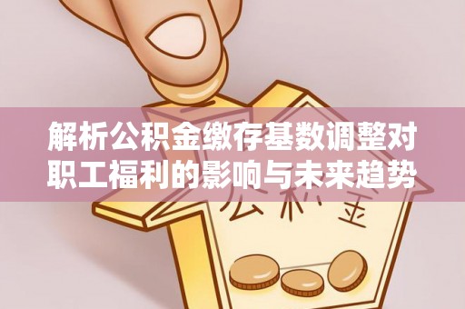 卢龙解析公积金缴存基数调整对职工福利的影响与未来趋势