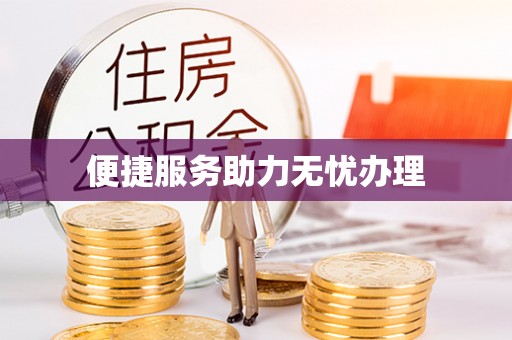 卢龙便捷服务助力无忧办理