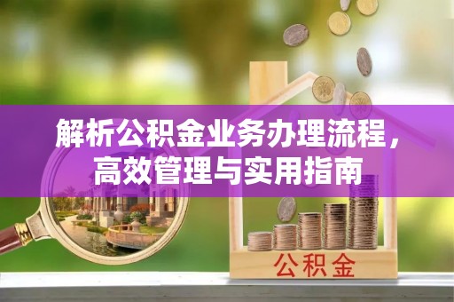 卢龙解析公积金业务办理流程，高效管理与实用指南