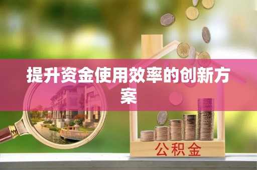 卢龙提升资金使用效率的创新方案