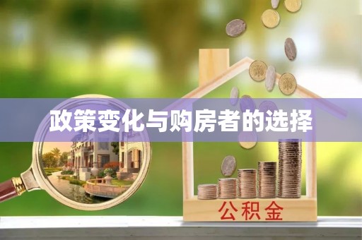 卢龙政策变化与购房者的选择