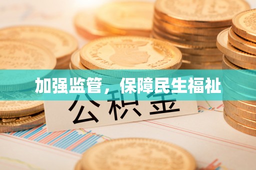 卢龙加强监管，保障民生福祉