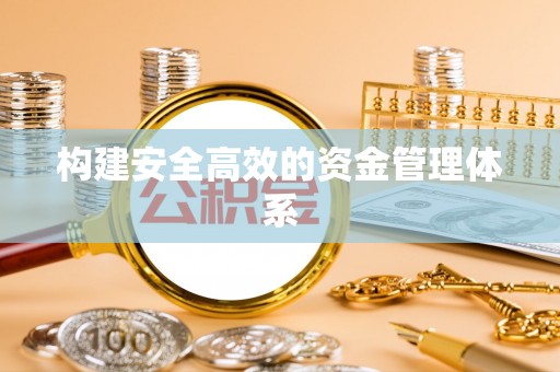 卢龙构建安全高效的资金管理体系