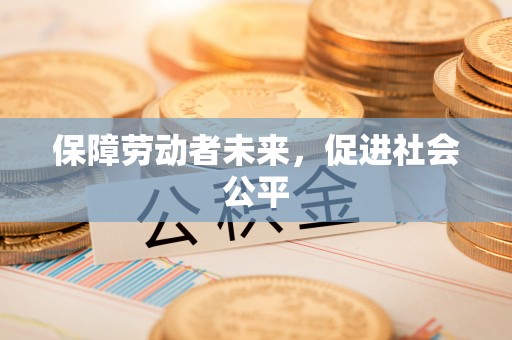 卢龙保障劳动者未来，促进社会公平