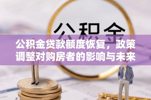 卢龙公积金贷款额度恢复，政策调整对购房者的影响与未来展望