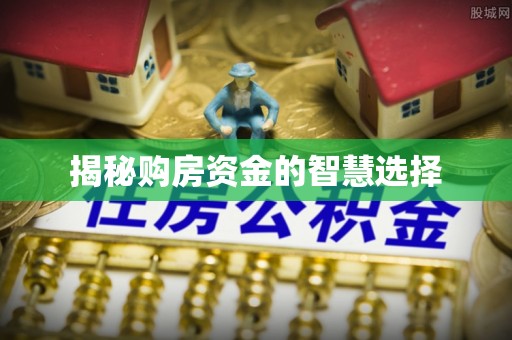 卢龙揭秘购房资金的智慧选择