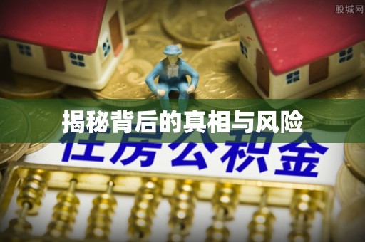 卢龙揭秘背后的真相与风险
