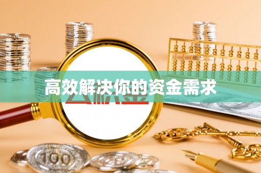 卢龙高效解决你的资金需求
