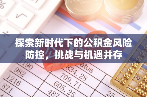 卢龙探索新时代下的公积金风险防控，挑战与机遇并存