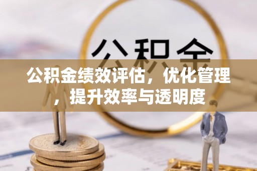 卢龙公积金绩效评估，优化管理，提升效率与透明度