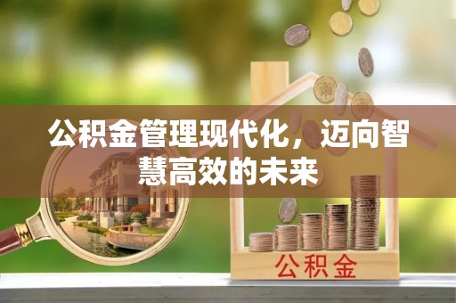 卢龙公积金管理现代化，迈向智慧高效的未来