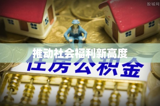 卢龙推动社会福利新高度