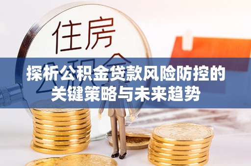 卢龙探析公积金贷款风险防控的关键策略与未来趋势