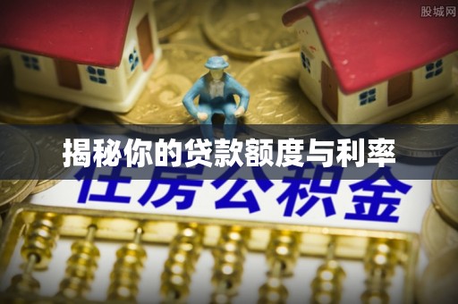 卢龙揭秘你的贷款额度与利率