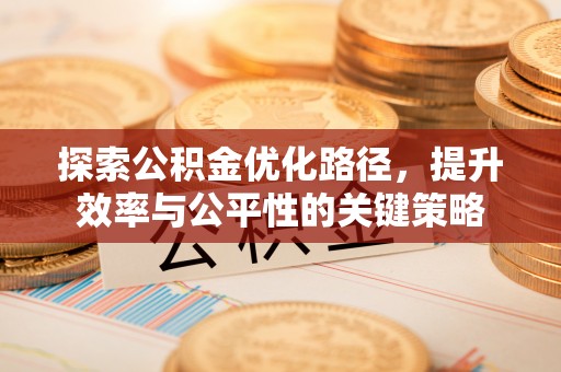卢龙探索公积金优化路径，提升效率与公平性的关键策略