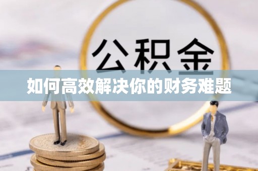卢龙如何高效解决你的财务难题