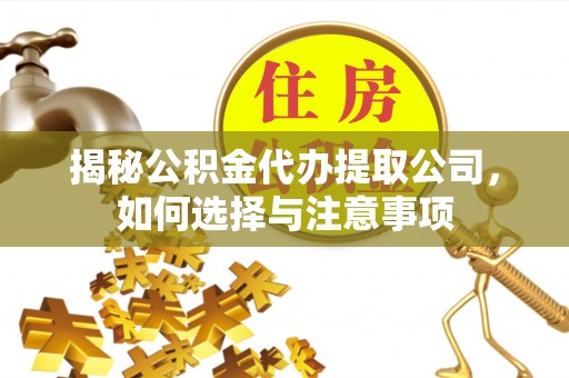 卢龙揭秘公积金代办提取公司，如何选择与注意事项