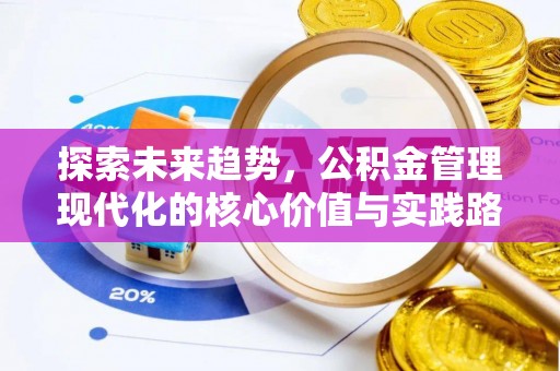 卢龙探索未来趋势，公积金管理现代化的核心价值与实践路径