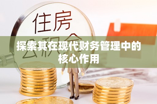 卢龙探索其在现代财务管理中的核心作用
