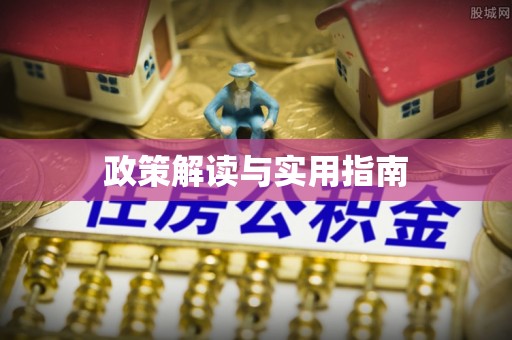 卢龙政策解读与实用指南