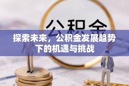 卢龙探索未来，公积金发展趋势下的机遇与挑战