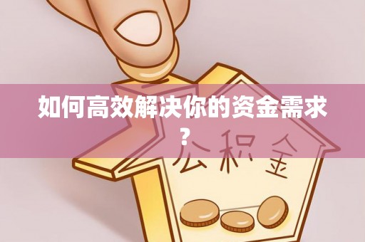 卢龙如何高效解决你的资金需求？