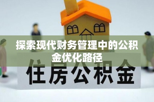 卢龙探索现代财务管理中的公积金优化路径
