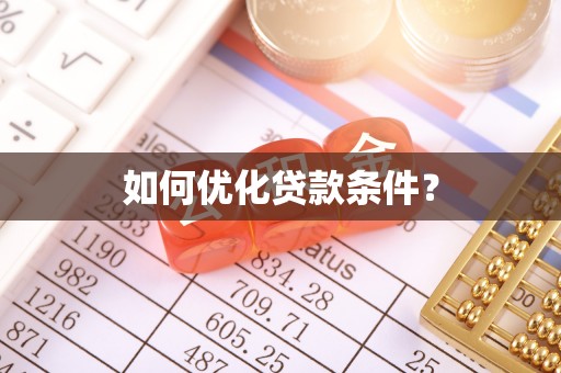 卢龙如何优化贷款条件？