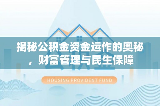 卢龙揭秘公积金资金运作的奥秘，财富管理与民生保障