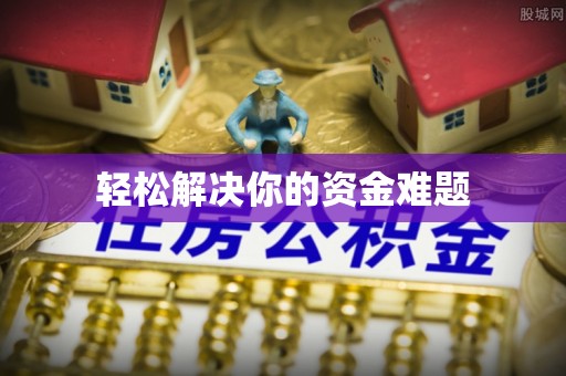 卢龙轻松解决你的资金难题