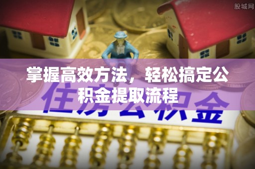 卢龙掌握高效方法，轻松搞定公积金提取流程