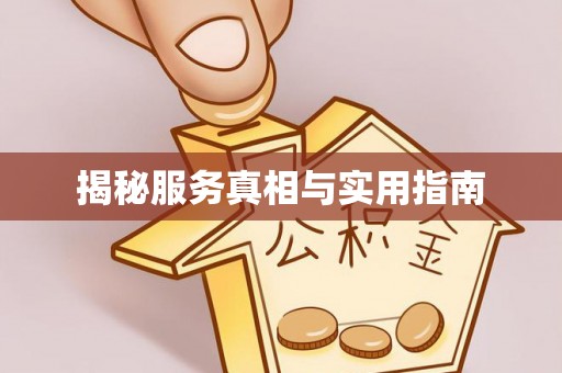 卢龙揭秘服务真相与实用指南
