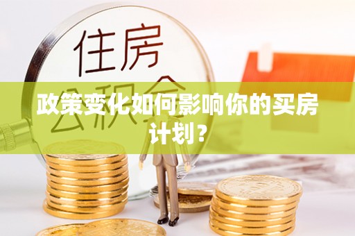 卢龙政策变化如何影响你的买房计划？
