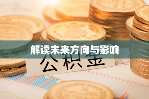 卢龙解读未来方向与影响
