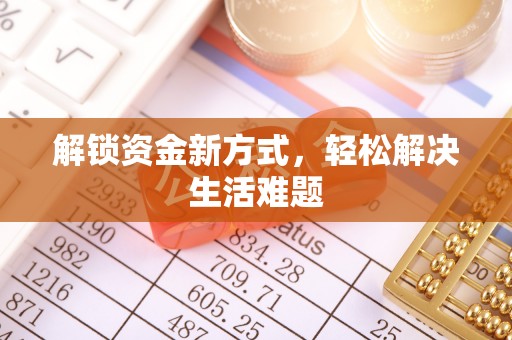 卢龙解锁资金新方式，轻松解决生活难题