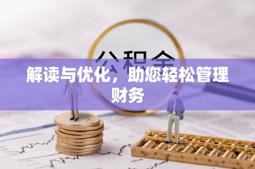 卢龙解读与优化，助您轻松管理财务