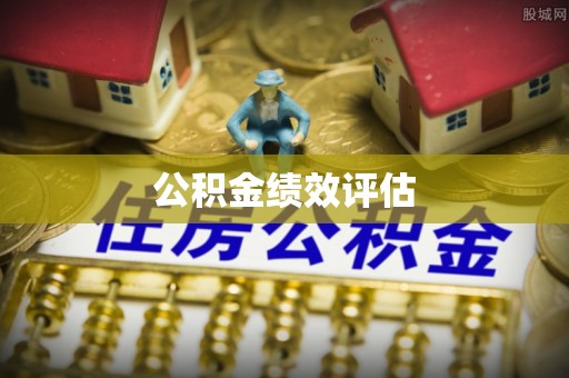 卢龙公积金绩效评估