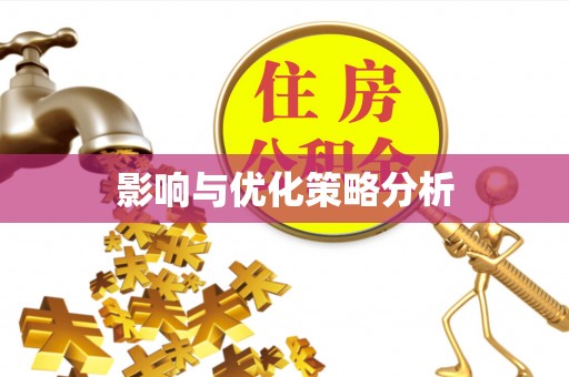 卢龙影响与优化策略分析