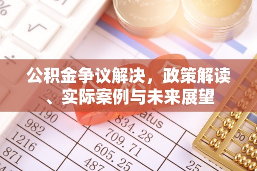 卢龙公积金争议解决，政策解读、实际案例与未来展望