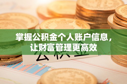 卢龙掌握公积金个人账户信息，让财富管理更高效