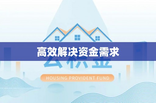 卢龙高效解决资金需求