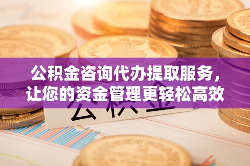 卢龙公积金咨询代办提取服务，让您的资金管理更轻松高效
