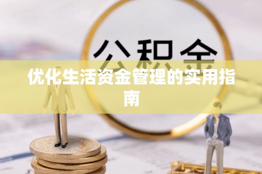卢龙优化生活资金管理的实用指南