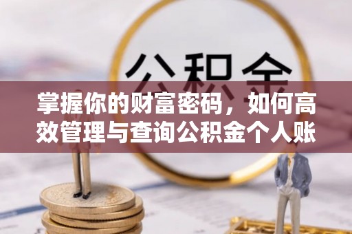 卢龙掌握你的财富密码，如何高效管理与查询公积金个人账户信息