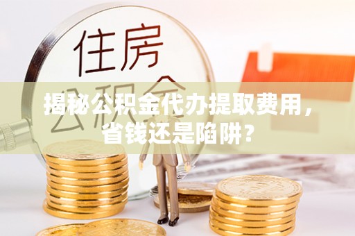 卢龙揭秘公积金代办提取费用，省钱还是陷阱？