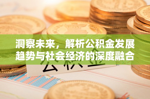 卢龙洞察未来，解析公积金发展趋势与社会经济的深度融合