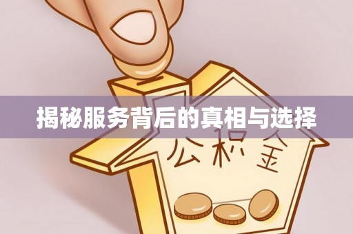 卢龙揭秘服务背后的真相与选择